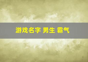 游戏名字 男生 霸气